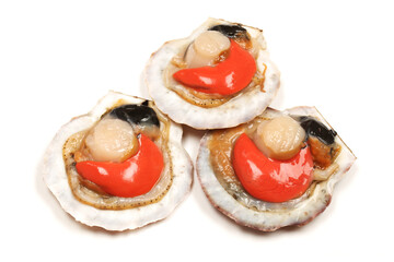 Scallop on the white background