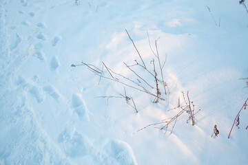 Human footprints on a snowy surface in winter next to grass