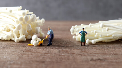 Enoki mushrooms and miniature people. Concept of harvesting and trading agricultural products.
