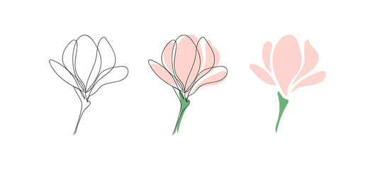 Set of three Cute blooming magnolia twigs.Vector illustration.