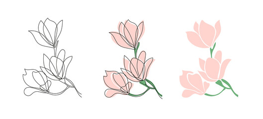 Set of three Cute blooming magnolia twig.Vector outline and flet illustrations.