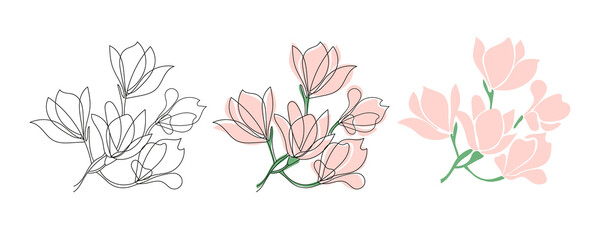 Set of three Cute blooming magnolia twig.Vector outline and flet illustrations.