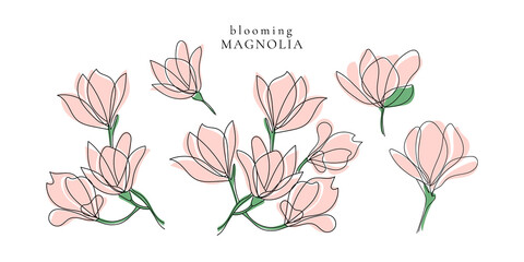 Set of spring blooming magnolia twigs,vector aesthetic contour illustration,outline hand drawing