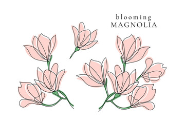 Set of spring blooming magnolia twigs,vector aesthetic contour illustration,outline hand drawing