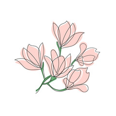 Cute outline drawing of blooming magnolia twig.Vector aesthetic contour illustration
