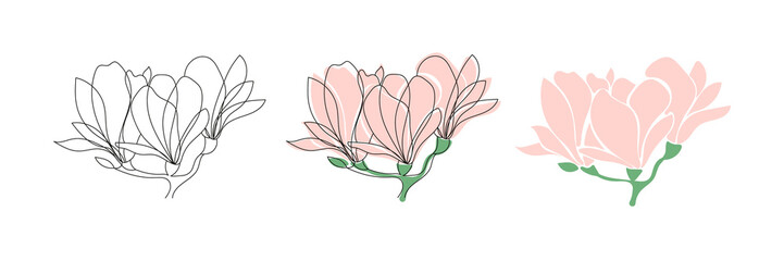 Set of three Cute blooming magnolia twig.Vector outline and flet illustrations.