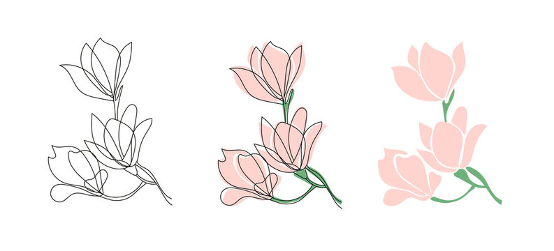 Set of three Cute blooming magnolia twig.Vector outline and flet illustrations.