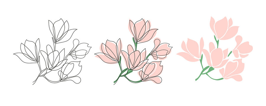 Set of three Cute blooming magnolia twig.Vector outline and flet illustrations.