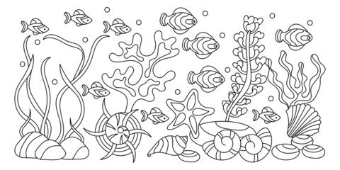 Underwater world coloring pages. Algae fish shells. Hand-drawn Vector coloring book, background