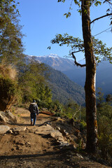 Naklejka premium hiking in the mountainA hiker was hiking in the mountain.