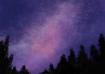 Fototapeta na wymiar stars and night sky in the forest