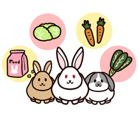 かわいいウサギと餌