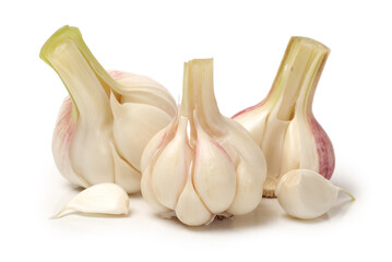 fresh garlic on white.
