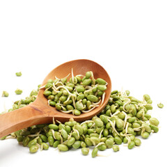 green soybean sprouts on white background