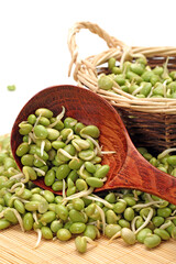 green soybean sprouts on white background
