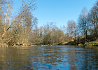 the banks of a small wild river in spring, bare trees, reflections in the water, a small wild river, Abuls river in Latvia