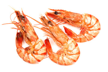 shrimps on a white background