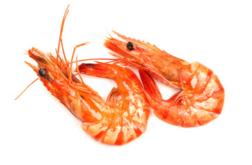 boiled shrimps on a white background