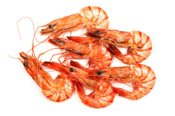 shrimps on a white background
