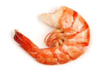 shrimps on white background