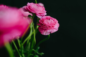 Spring bouquet for birthday, Mother's Day, March 8, International Women's Day, anniversary. Happy Valentine's Day.