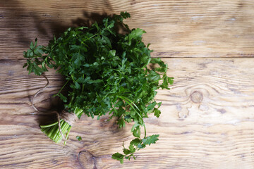 Parsley on wooden table background. Fresh raw parsley plant top view. Parsley indispensable source of vitamins A, C, K, B1, B2, PP, E, C
