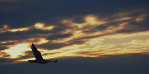 sunset in the sky