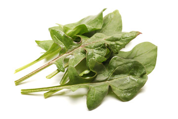spinach leaf  on white background.