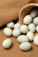Duck eggs