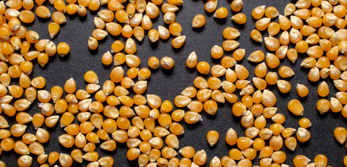 corn grains on a black background