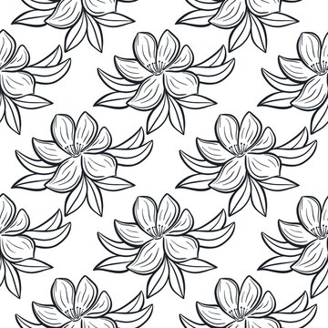 Floral wallpaper seamless pattern. Black flowers white background. Monochrome bloom template for fabric, wallpaper, packaging vector illustration