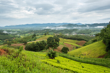 Fototapeta premium Aerial view of endless lush pastures of CHIANGRAI. View of Mae Ngoen Subdistrict Chiang Saen District Chiang Rai.