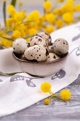 Obraz na płótnie Canvas Quail eggs in a ceramic bowl and spring yellow mimosa flowers on a wooden gray background. Cozy spring morning in rustic style. Happy Easter, Vertical photo.
