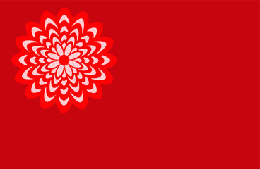 Chrysanthemum flower background.