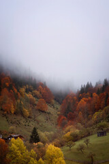 autumn in the Ukrainian mountains, houses in the autumn forest