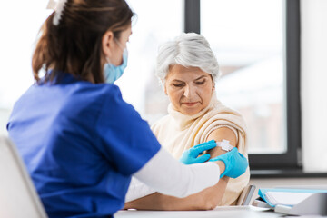 medicine, health and vaccination concept - doctor or nurse applying medical patch to vaccinated senior woman at hospital - obrazy, fototapety, plakaty