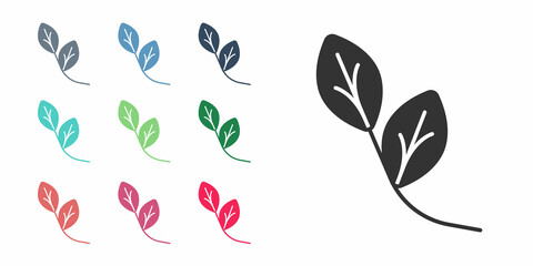 Black Leaf icon isolated on white background. Leaves sign. Fresh natural product symbol. Set icons colorful. Vector