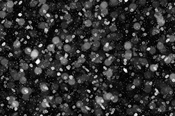 Real falling snow on a black background