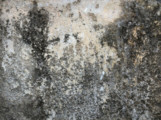 Concrete crack, vintage wall background, old wall