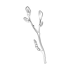Branch illustration
