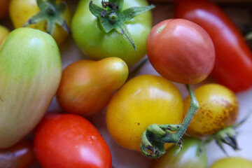 Homegrown tomatoes from the garden.