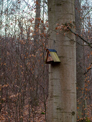 Vogelhaus im Wald 