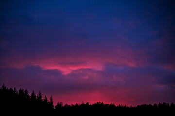 Fototapeta na wymiar Spruce tree silhouettes in the warm glow of sunset.