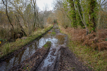 Flooded single track road in the countryside