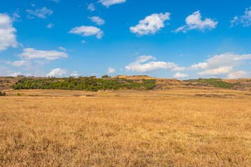 Fototapeta premium yellow grass countryside fields with bright blue sky at morning from flat angle