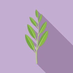 Sage plant icon flat vector. Herb leaf