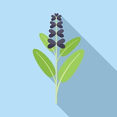 Obraz na płótnie Canvas Sage stick icon flat vector. Herb plant