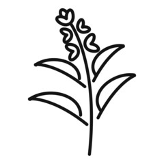 Sage icon outline vector. Leaf plant - obrazy, fototapety, plakaty