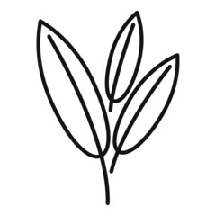Sage herb icon outline vector. Smudge mint