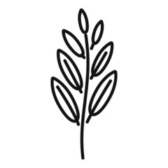 Sage flower icon outline vector. Herb plant